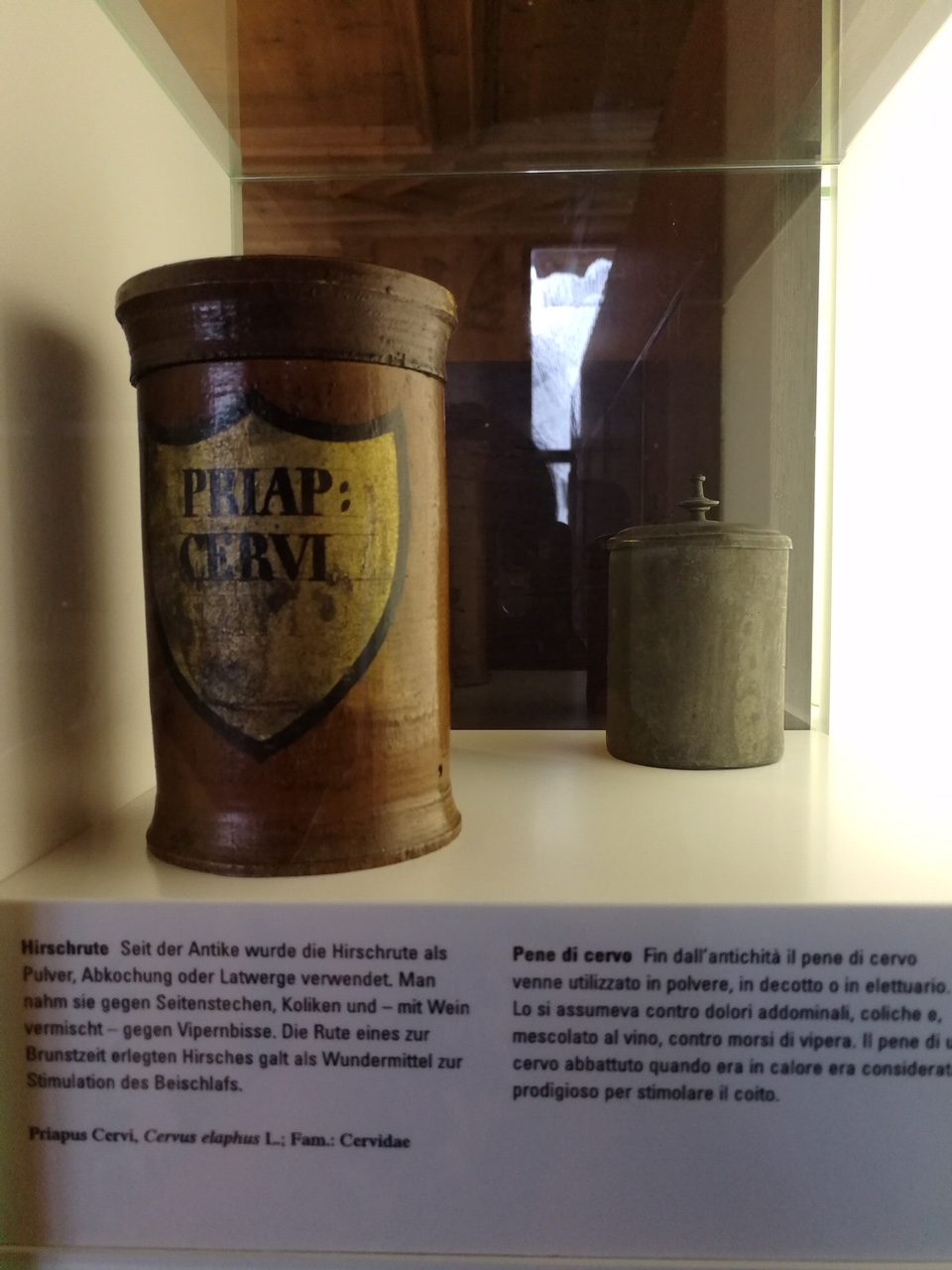 Pharmaziemuseum - Museo della farmacia - 9.JPG